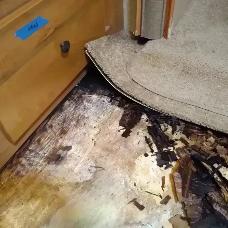 Wood Floor Water Damage in Verdi, NV